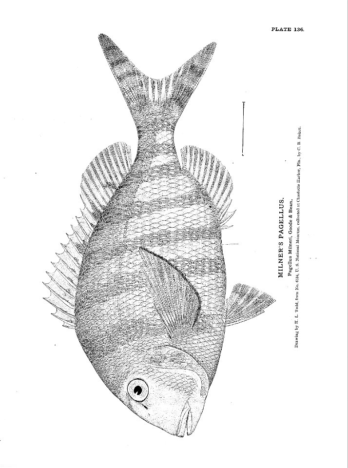 n307_w1150
