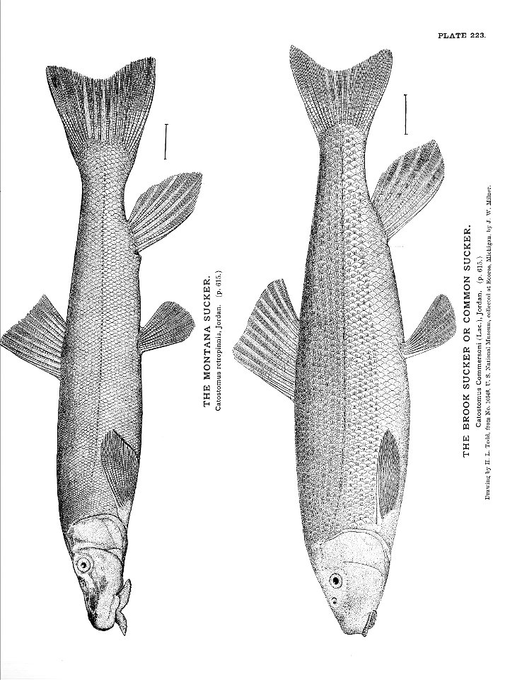n501_w1150