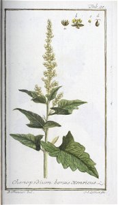 n258_w1150