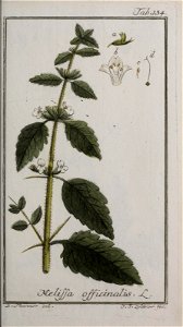 n146_w1150