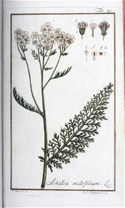 n136_w1150