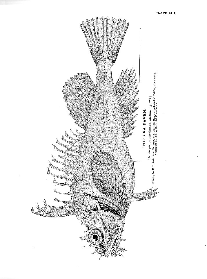 n177_w1150