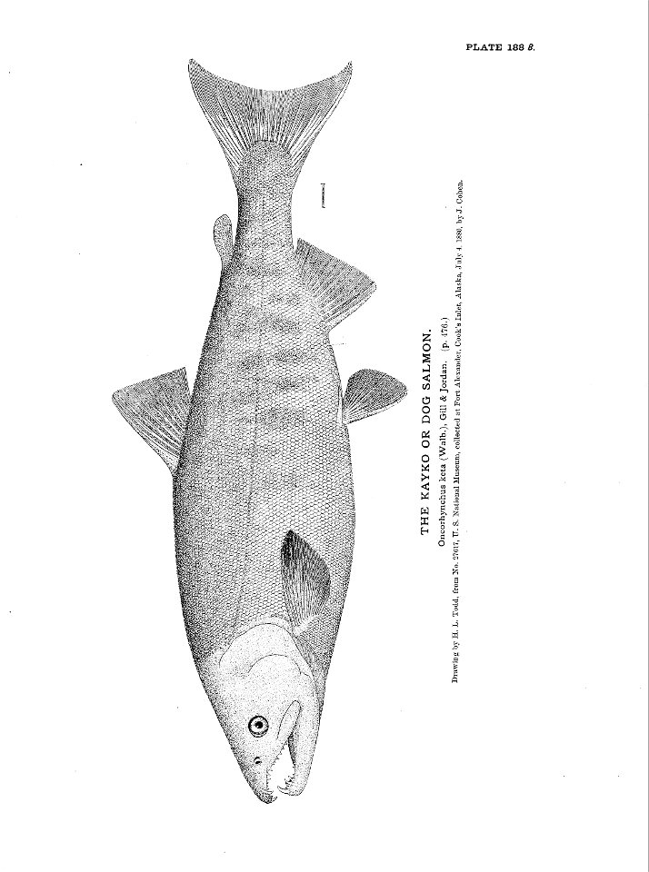 n415_w1150