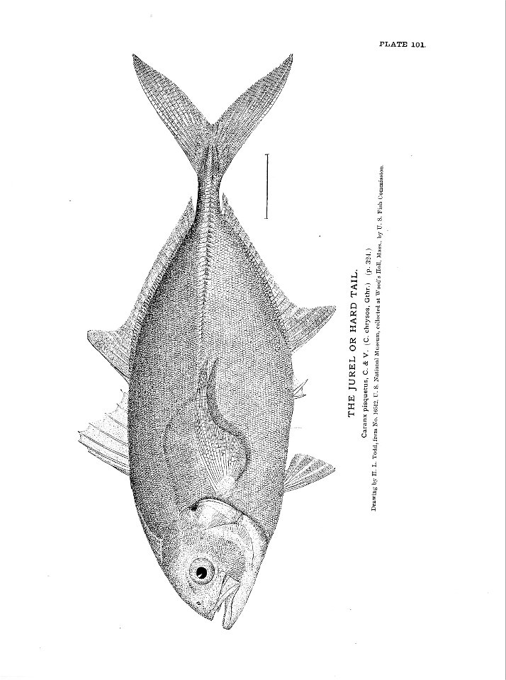 n235_w1150