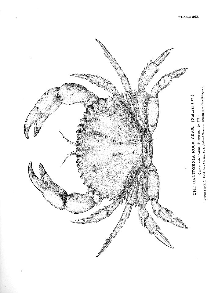 n583_w1150