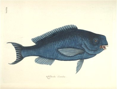 n17_w1150