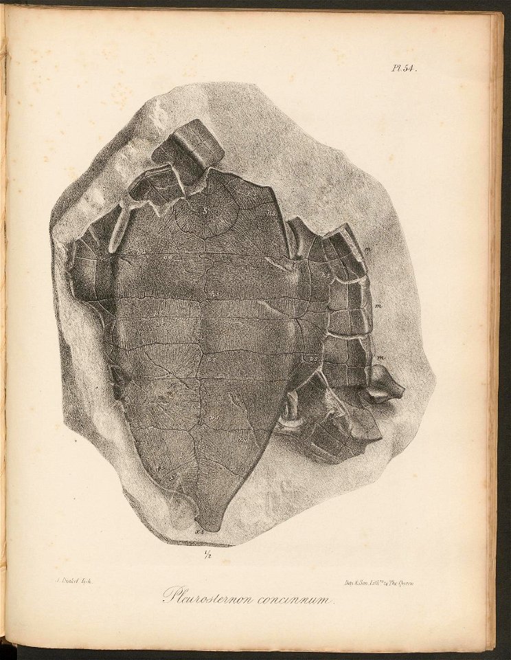 n353_w1150