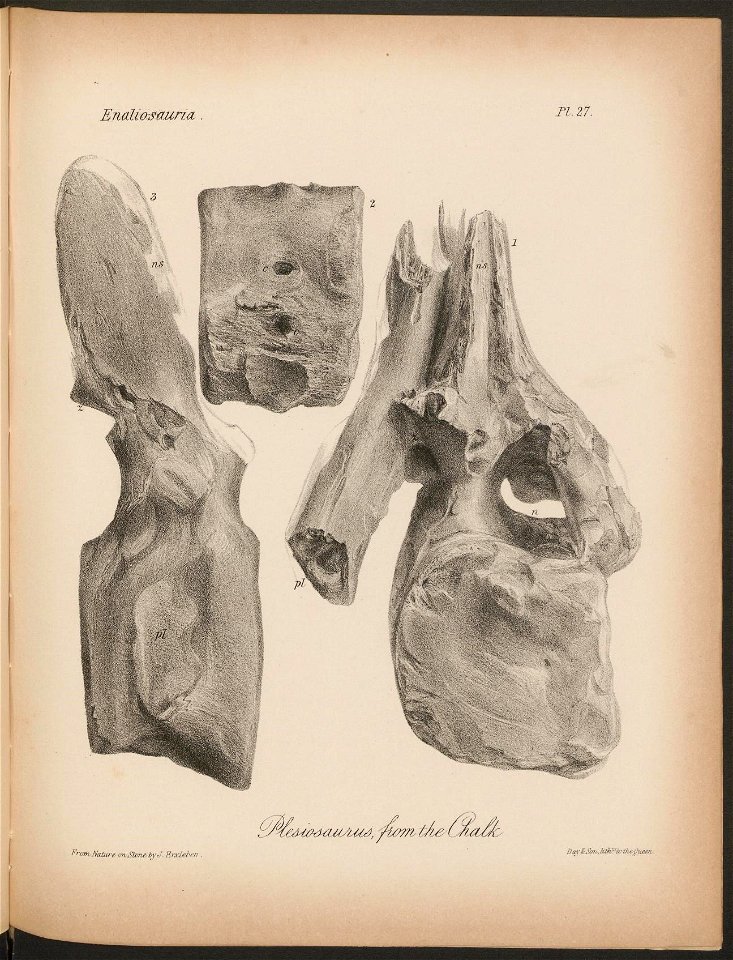 n176_w1150