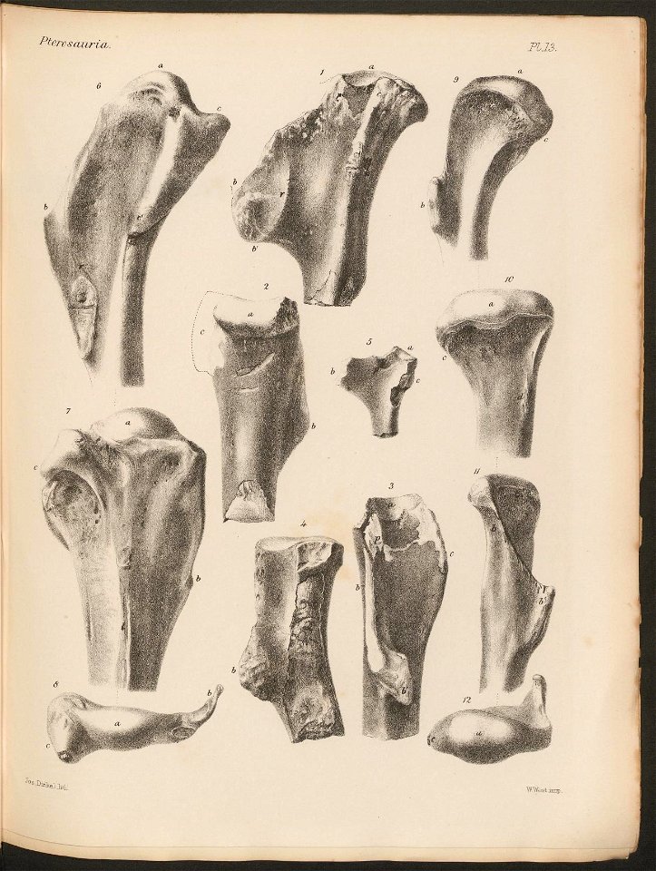 n59_w1150