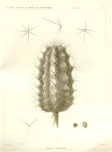 n58_w1150