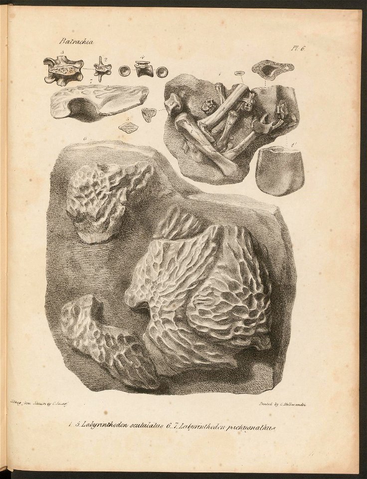 n403_w1150