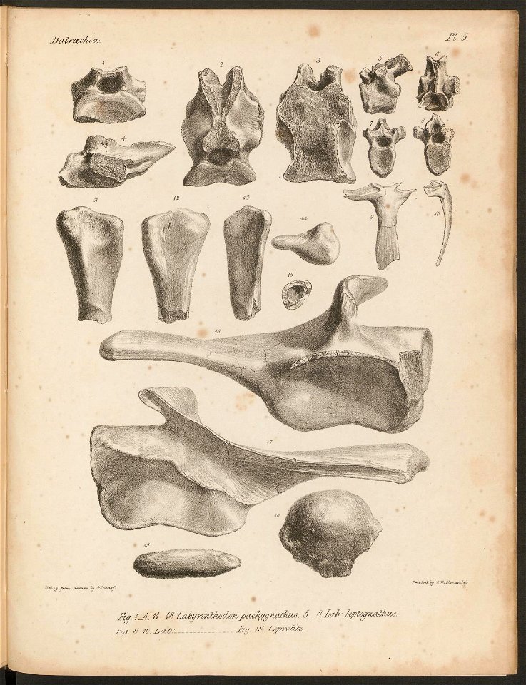 n399_w1150