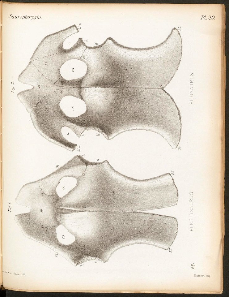 n339_w1150