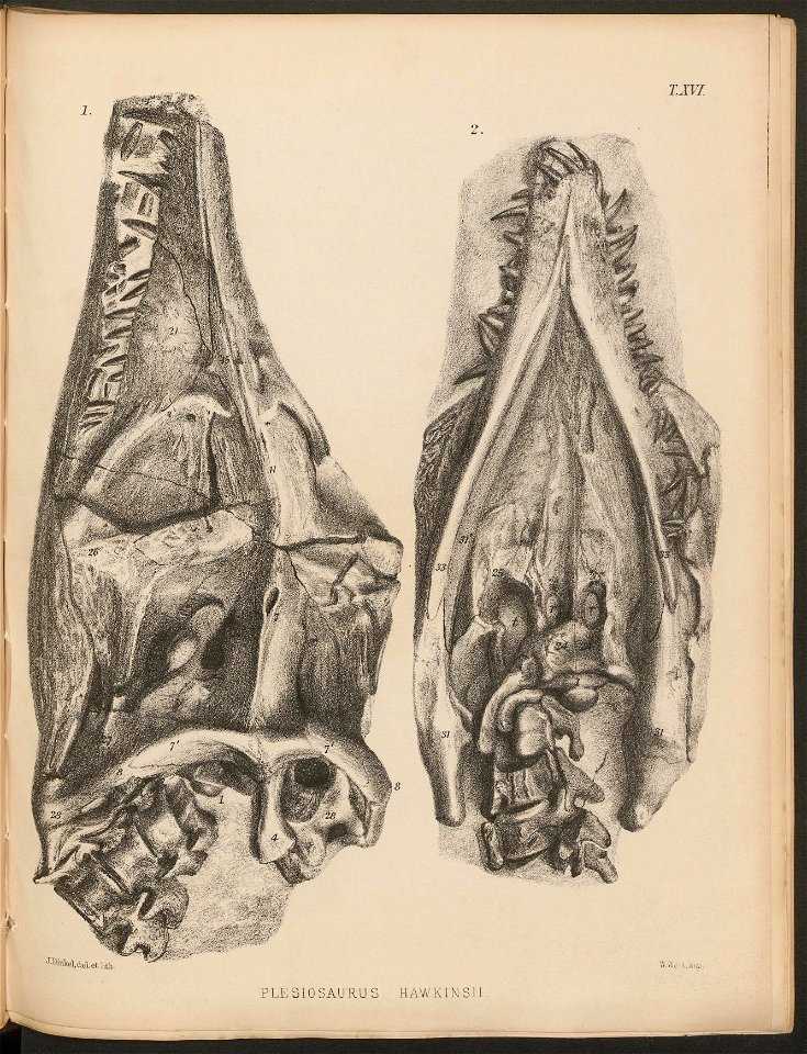 n161_w1150