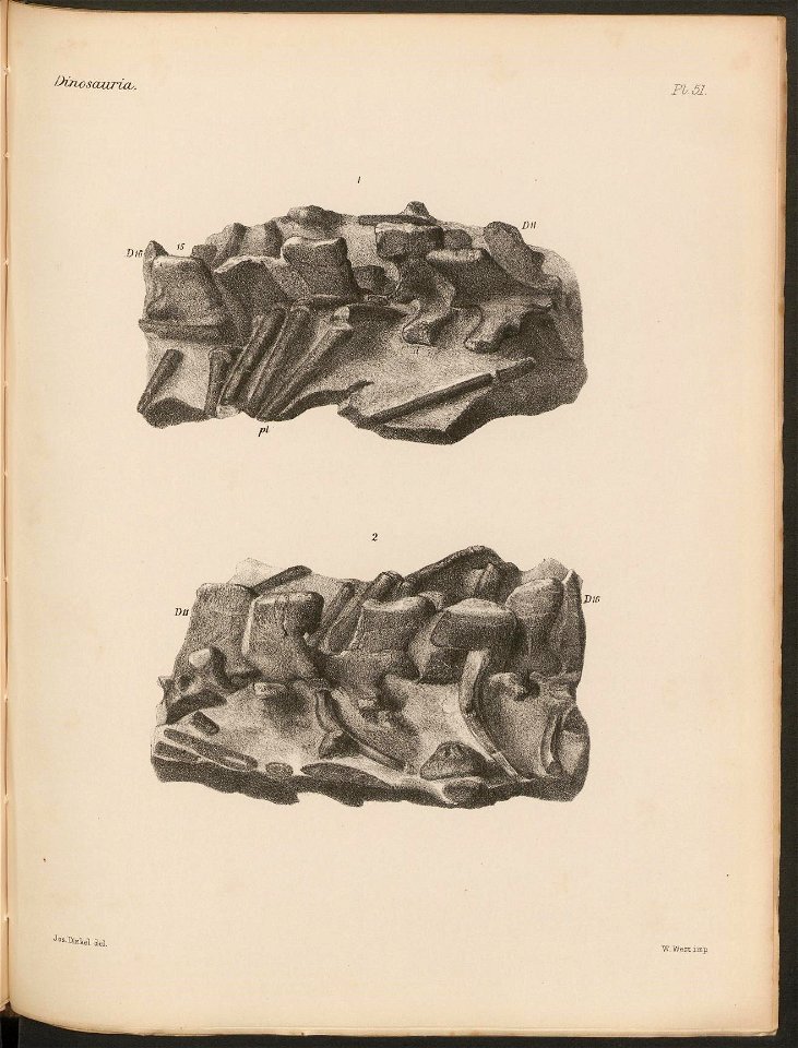 n276_w1150