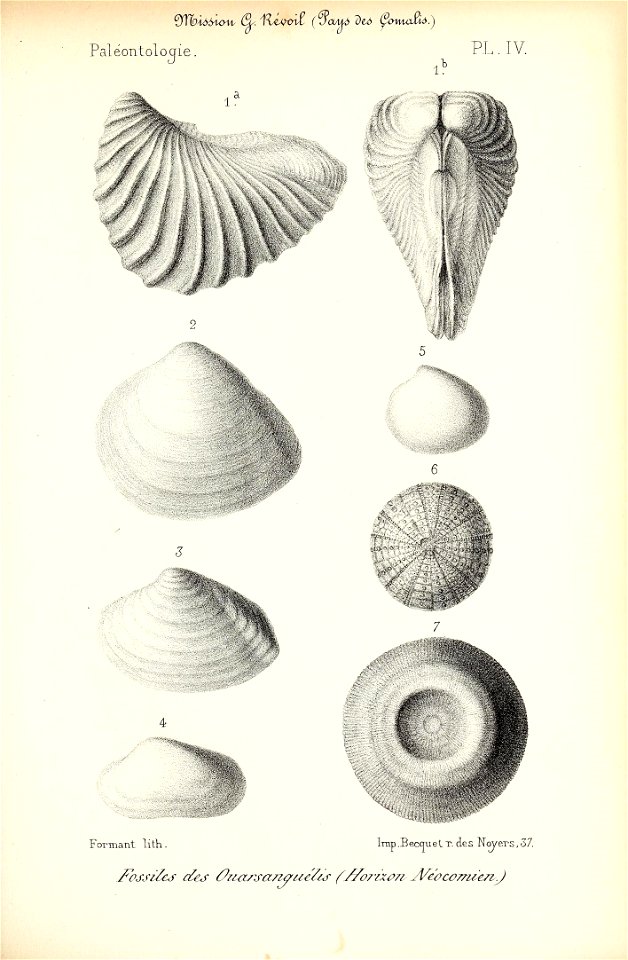 n256_w1150