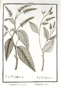 n147_w1150
