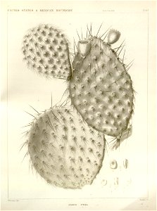 n69_w1150