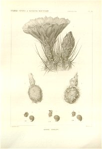 n54_w1150