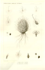 n8_w1150