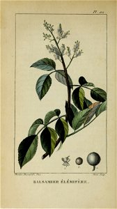n409_w1150