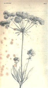 n67_w1150