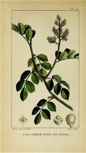 n403_w1150