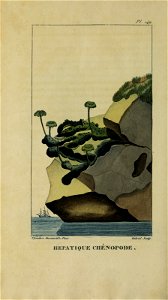 n503_w1150