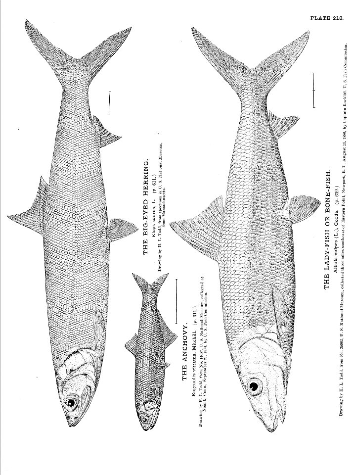 n489_w1150