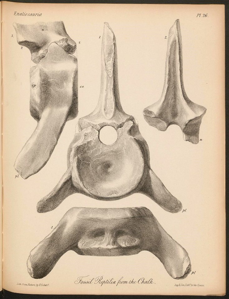 n172_w1150