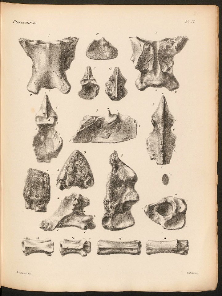 n55_w1150