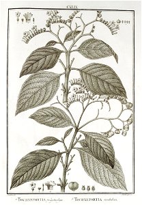 n149_w1150