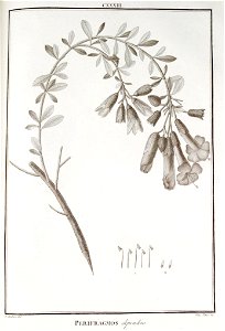 n133_w1150