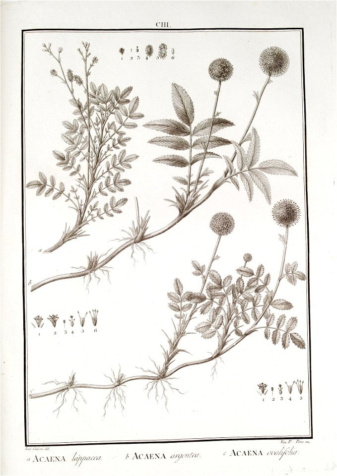n103_w1150