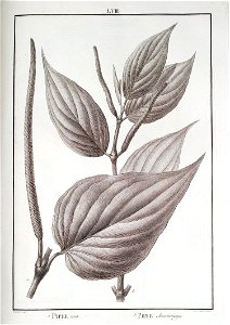 n58_w1150