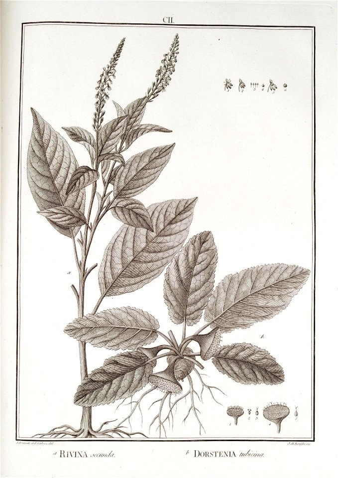 n102_w1150