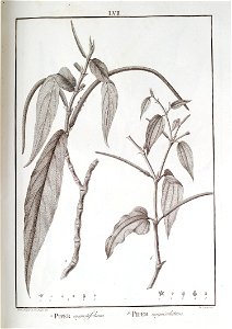 n57_w1150