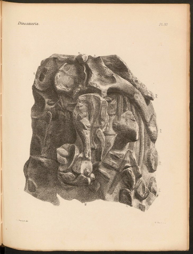 n272_w1150
