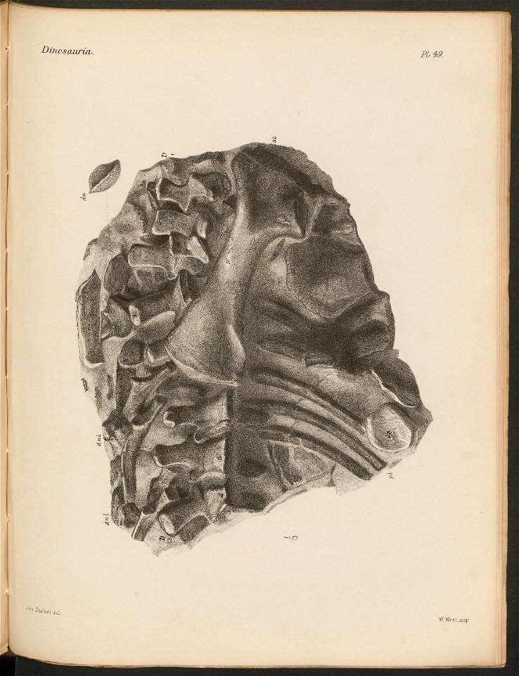 n268_w1150