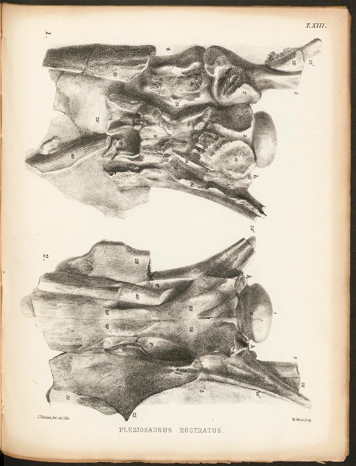 n149_w1150