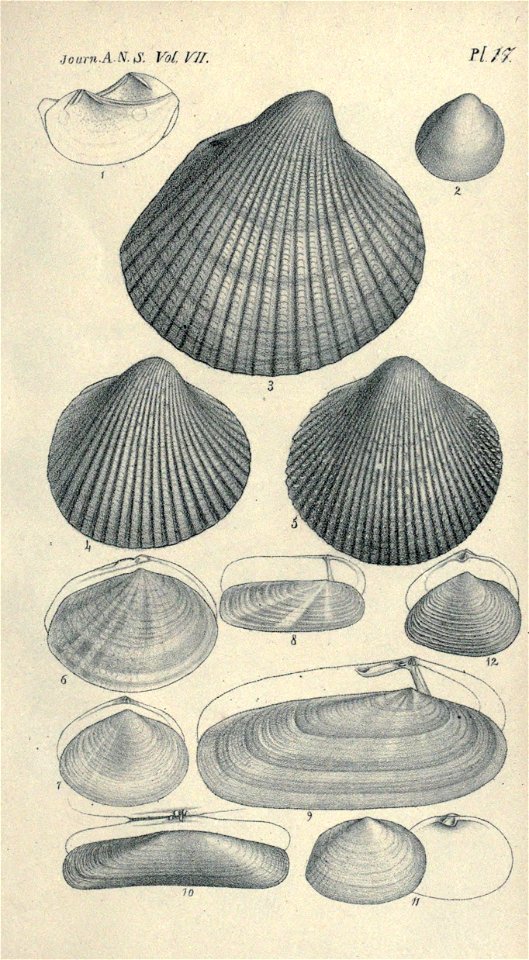 n464_w1150