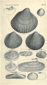 n464_w1150