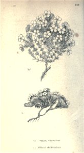 n57_w1150