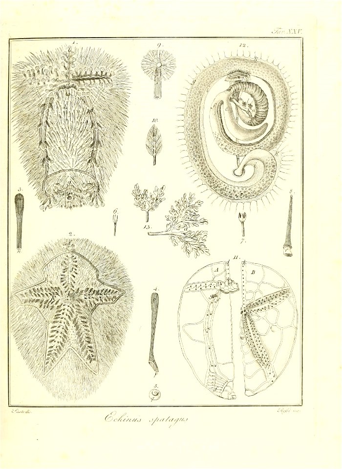 n58_w1150