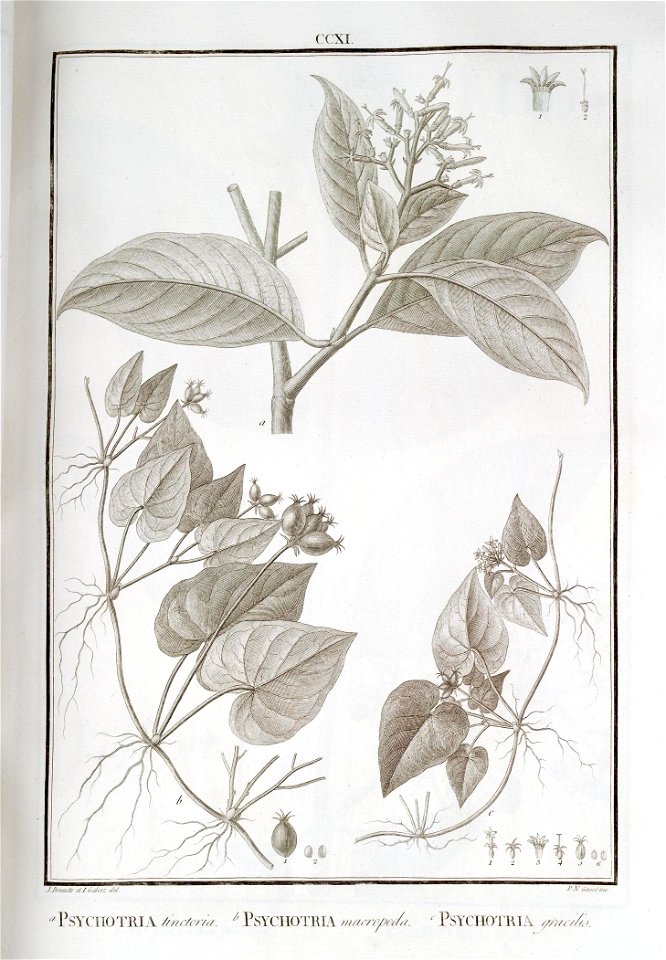 n59_w1150