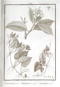 n59_w1150