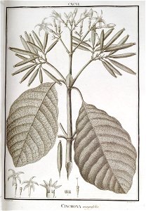 n44_w1150