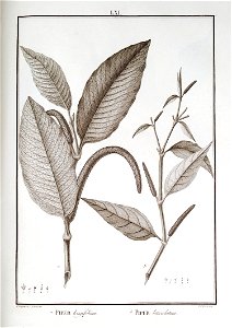 n61_w1150