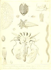 n202_w1150