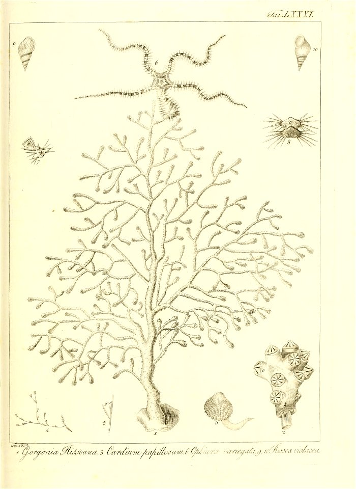 n172_w1150